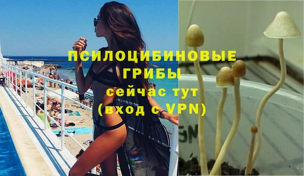 бутират Баксан