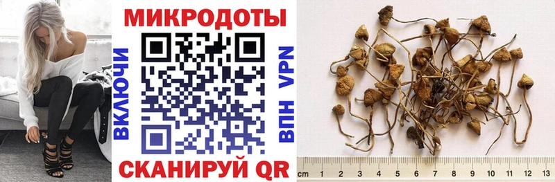 darknet какой сайт  Чаплыгин  Галлюциногенные грибы мухоморы 